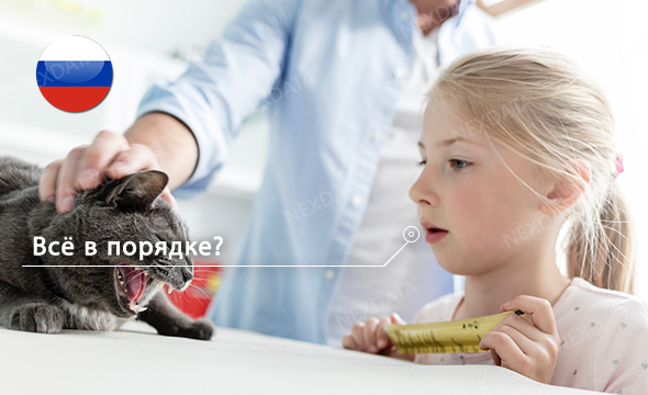 338 Hours - Russian(Russia) Spontaneous Dialogue Smartphone speech dataset